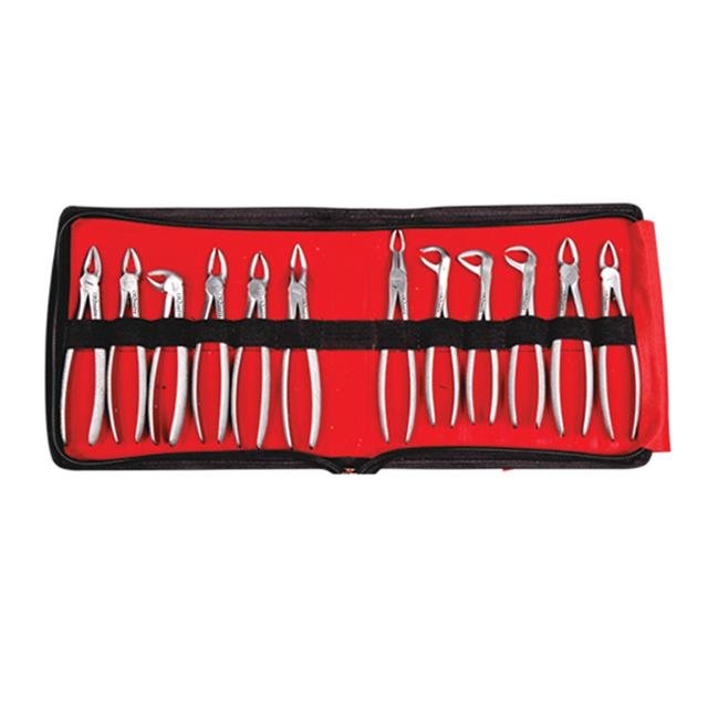 Oracraft Secure Pouch of Standard Extraction Forceps - Global Surgicals