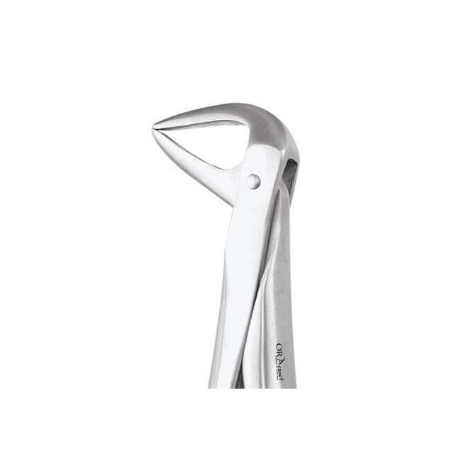 Oracraft Universal Lower Roots Extraction Forceps - Global Surgicals