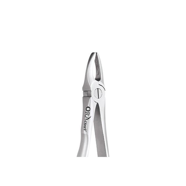 Oracraft Upper Anteriors Extraction Forceps - Global Surgicals