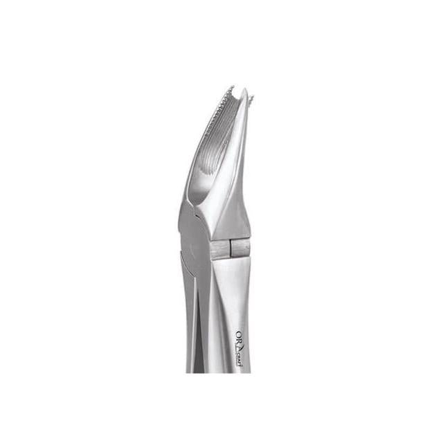 Oracraft Upper Molars Right Extraction Forceps - Global Surgicals