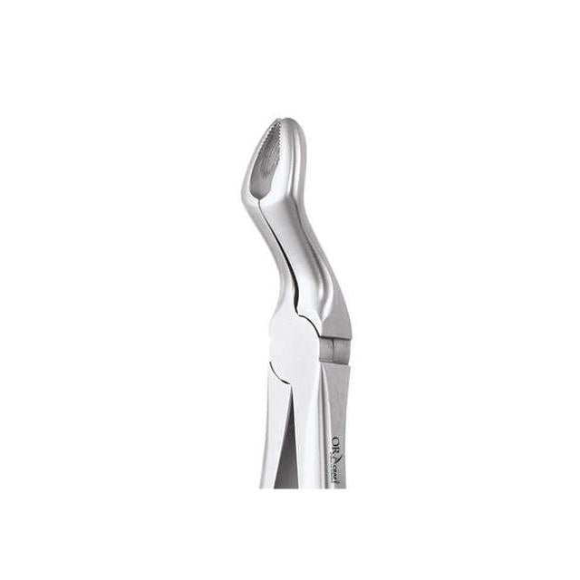 Oracraft Upper Third Molars Extraction Forceps - Global Surgicals