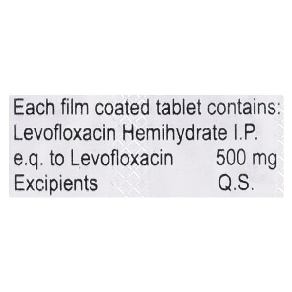 LEVOTECH 500 Tablet 10's