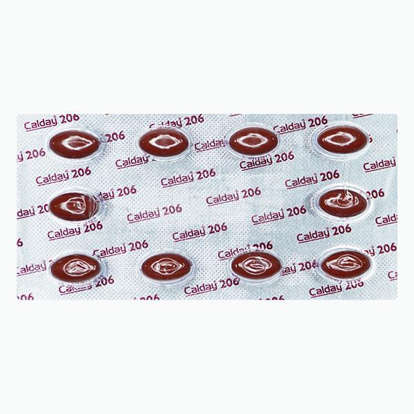 CALDAY 206 Capsule 10's