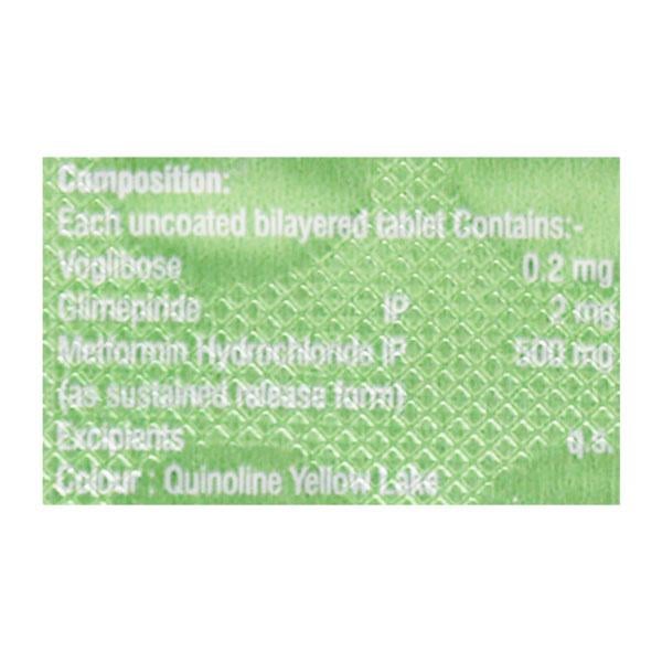 VOGLIBOZ GM2 Tablet 10's