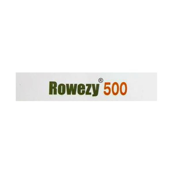 ROWEZY 500 Tablet 5's