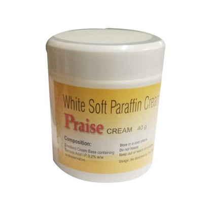 PRAISE Cream 40gm - Global Surgicals