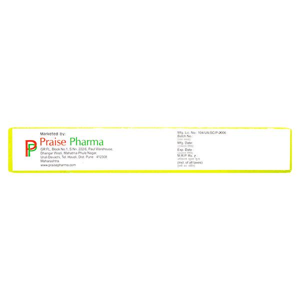 PRAISVATE Ointment 20gm - Global Surgicals