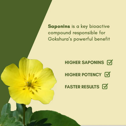 Rasayanam Tribulas Gokhru-60 1000mg, 60 Tablets