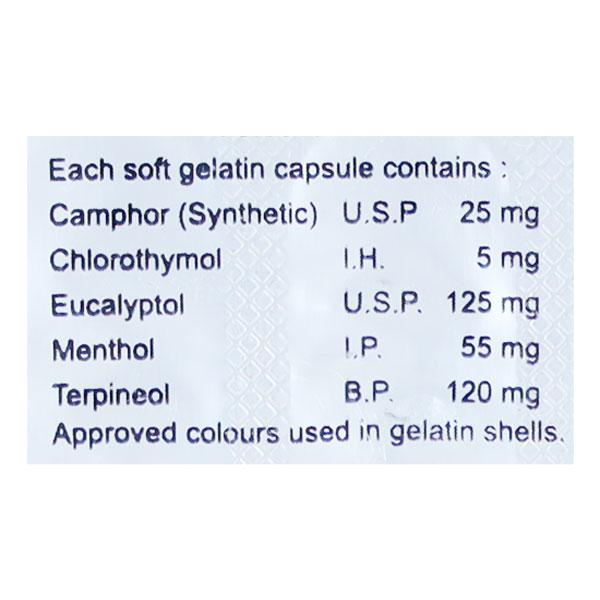 SNEZEEBREATH Inhalation Capsule 10's - Global Surgicals