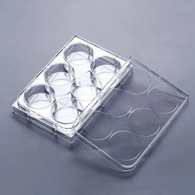 Tarson Tissue Culture Plate Sterile - Global Surgicals