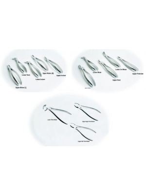 Topdent Extraction Forceps - Global Surgicals