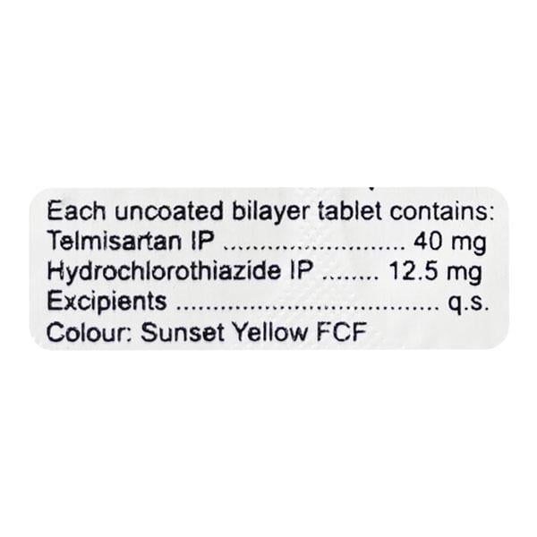 TELGARD H Tablet 10's