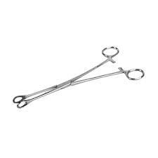 Vaishanav Surgicals Sponge Holding Forcep - Global Surgicals