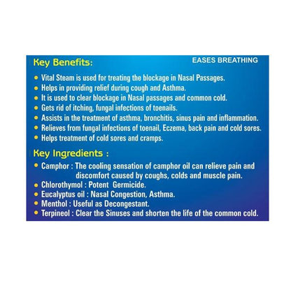 VITAL STEAM Inhalation Capsule 10's - Global Surgicals