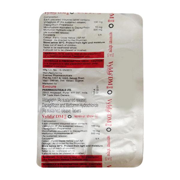VYLDA DM Tablet 10's