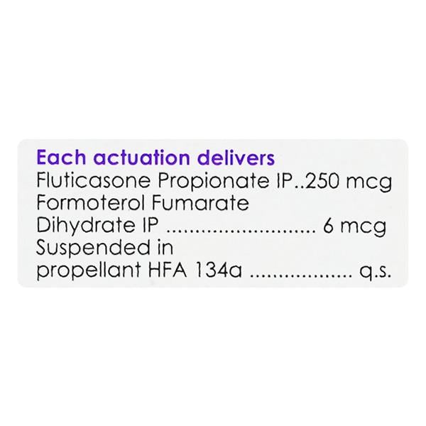 Maxiflo 250 Inhaler 120Md