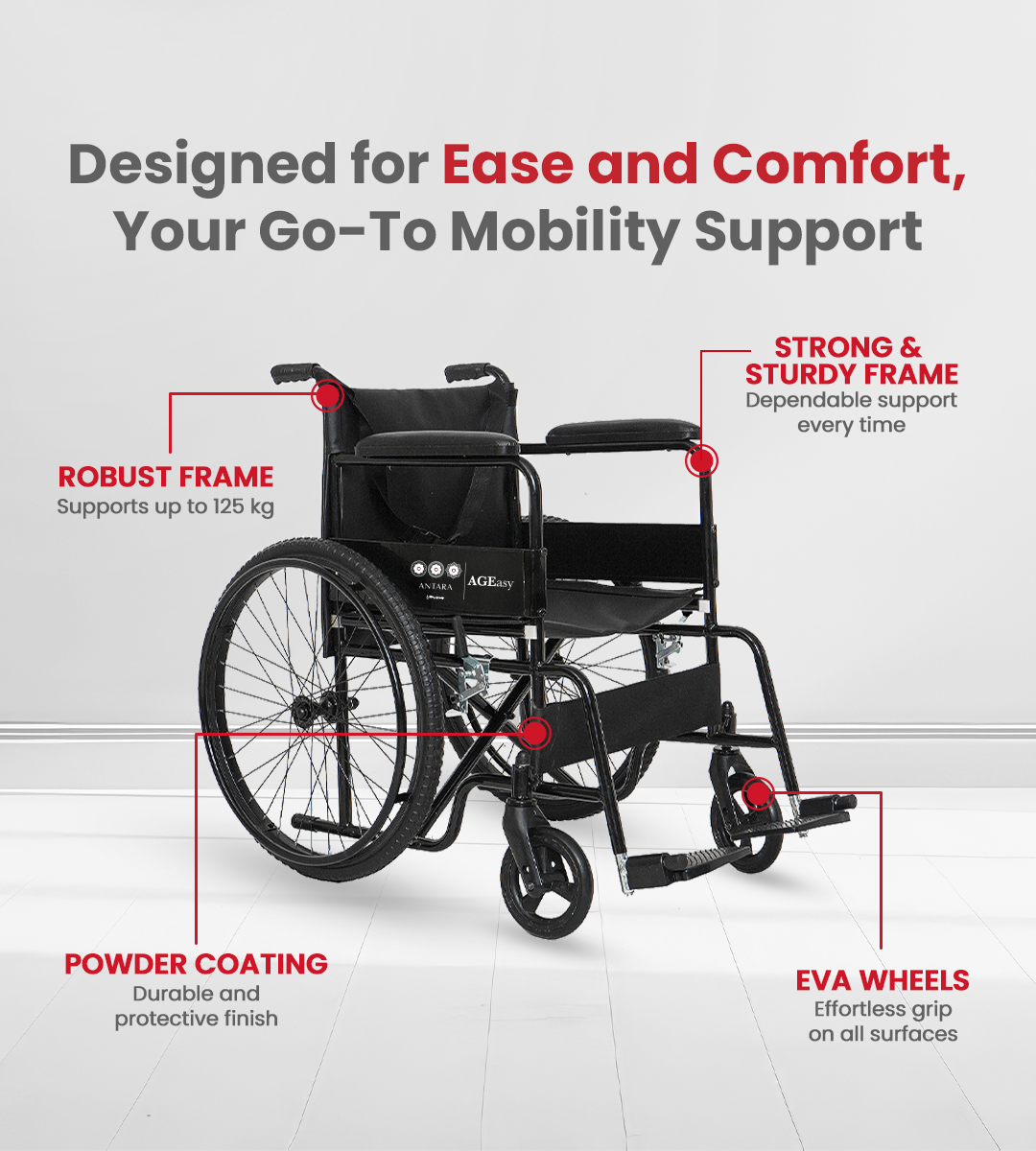 AGEasy WheelEasy for Seniors