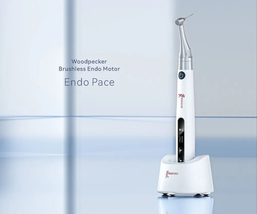 Woodpecker Endopace Endomotor - Global Surgicals