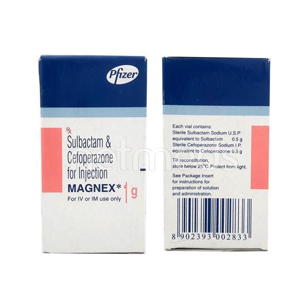 Magnex 1gm Injection 1's