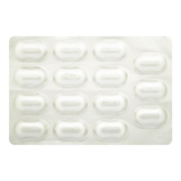 VICEMIC M 500mg Tablet 15's